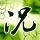 歼35